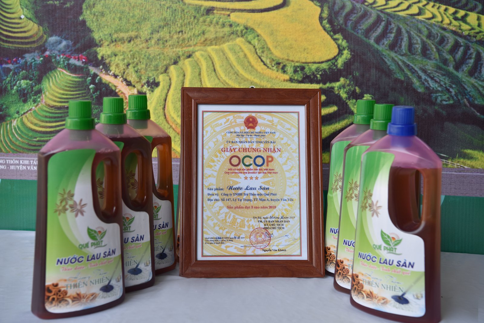 Nước lau sàn quế