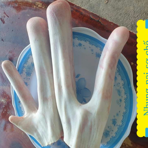 Nhung nai nguyên nhánh