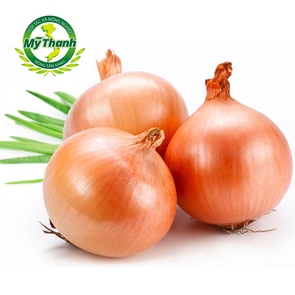 Hành tây giống đài loan Song An Food túi 500g