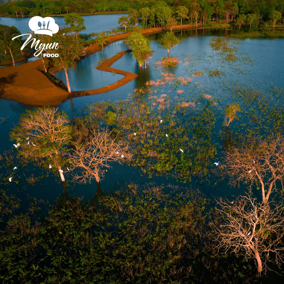 Hồ Ea Kao Buôn Ma Thuột - Điểm Đến Du Lịch Sinh Thái Tuyệt Đẹp Giữa Núi Rừng Đắk Lắk