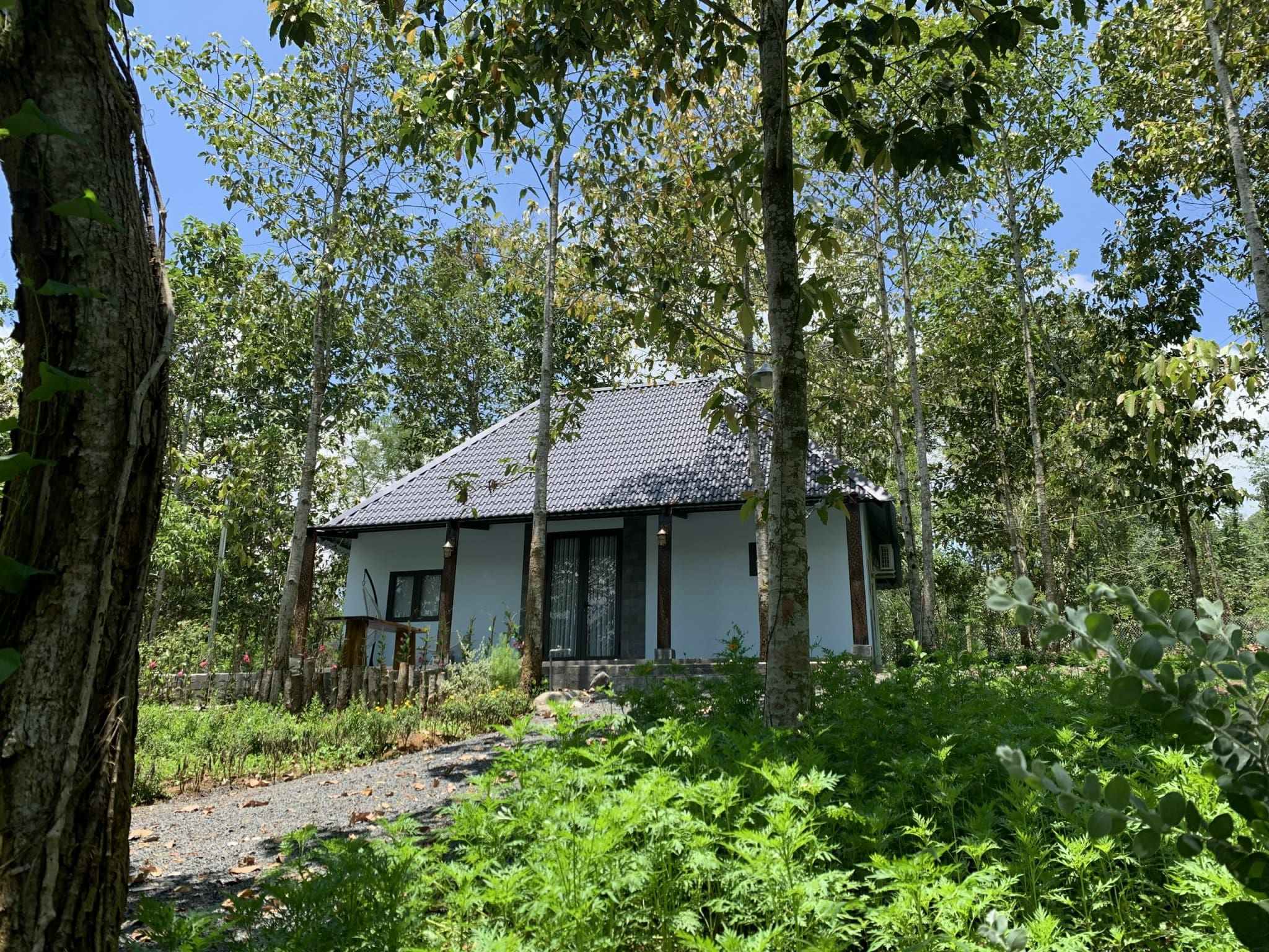 Suối Rao Ecolodge - Bungalow Mimosa House