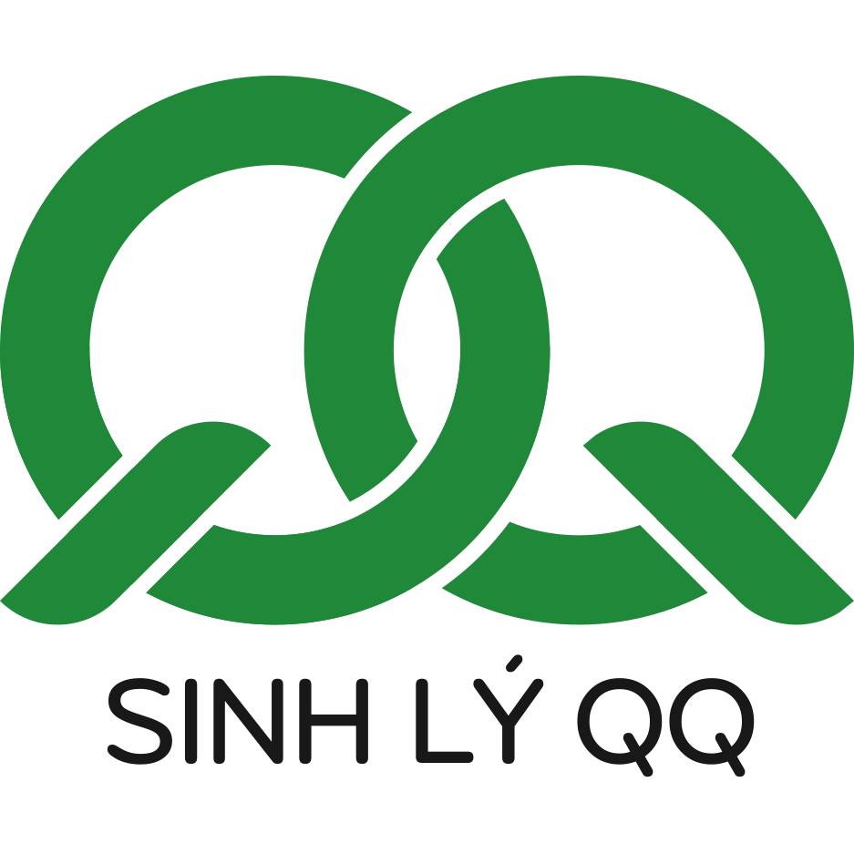 SinhlyQQ.vn