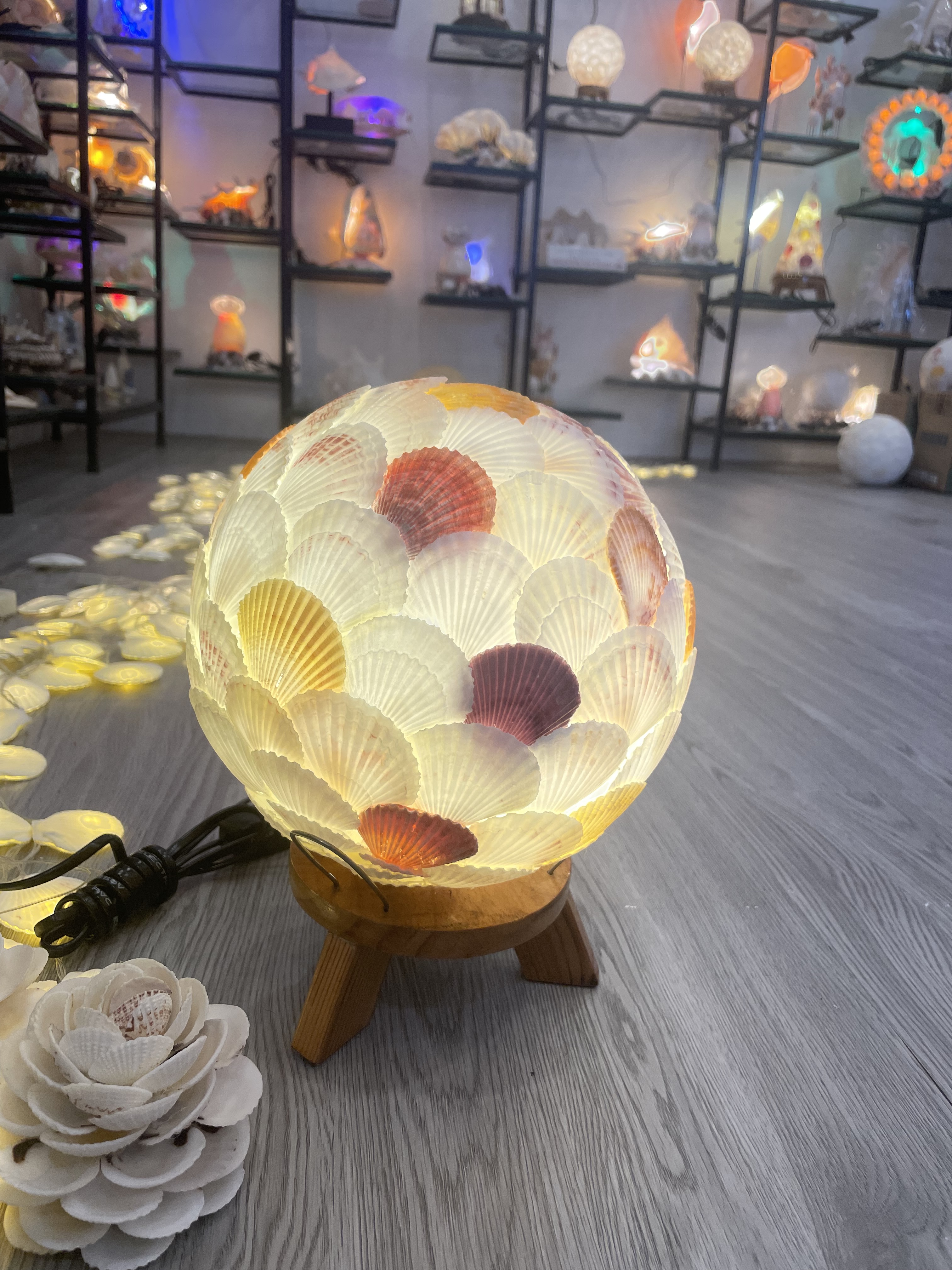 Đèn làm từ vỏ ốc biển - vỏ ốc điệp màu