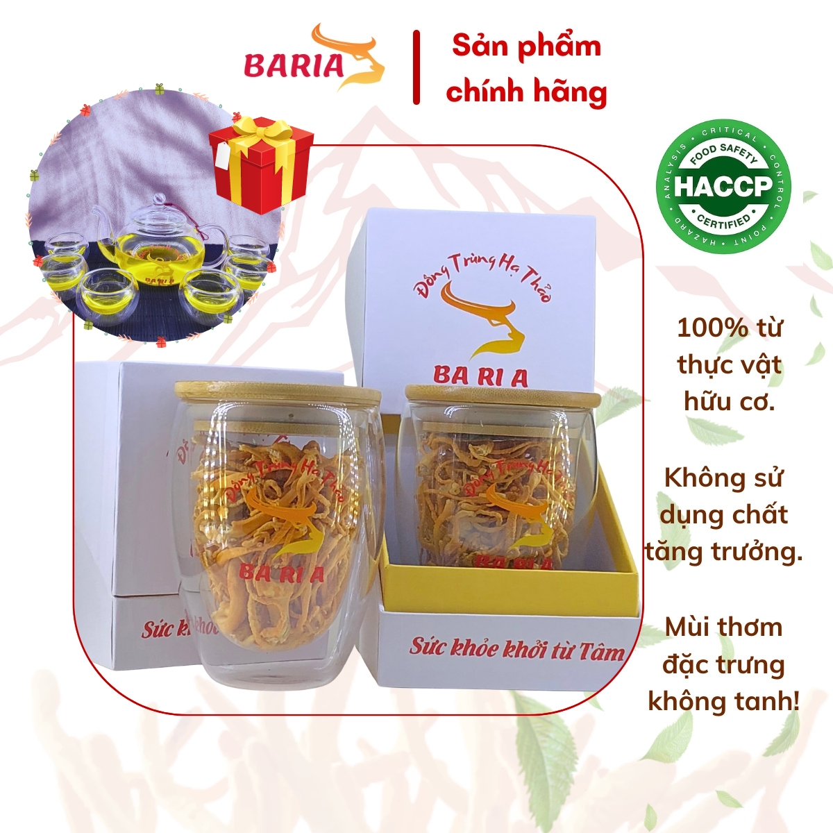 Combo 2 hũ đông trùng hạ thảo BARIA sấy thăng hoa tặng bộ ấm trà cao cấp 2 lớp