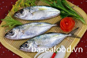 Cá chỉ vàng nguyên con đông lạnh