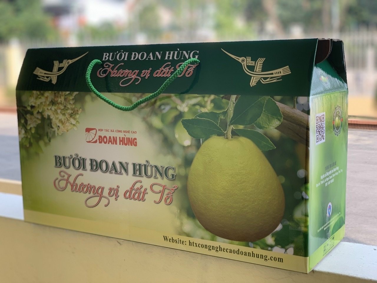 Bưởi Đoan Hùng - Hương vị Đất Tổ