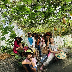 Hậu Giang - Bảo Gia Farm - Mương Đình