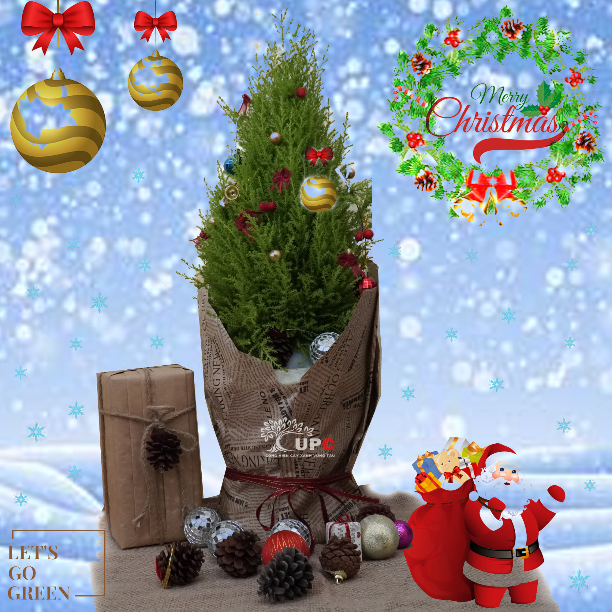Chậu tiểu cảnh Giáng Sinh - UPC Green