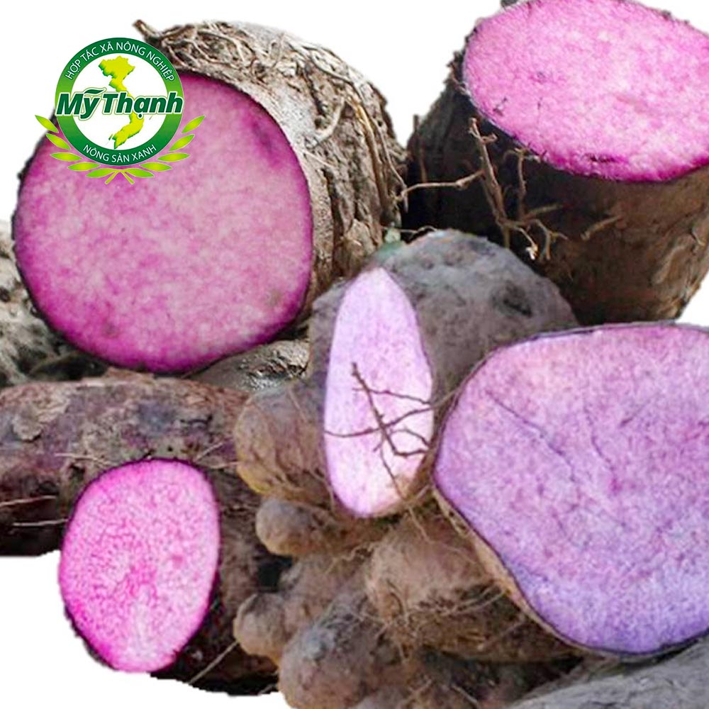 Khoai mỡ giống nhật Song An Food vĩ 2 trái 700g - 1,2kg