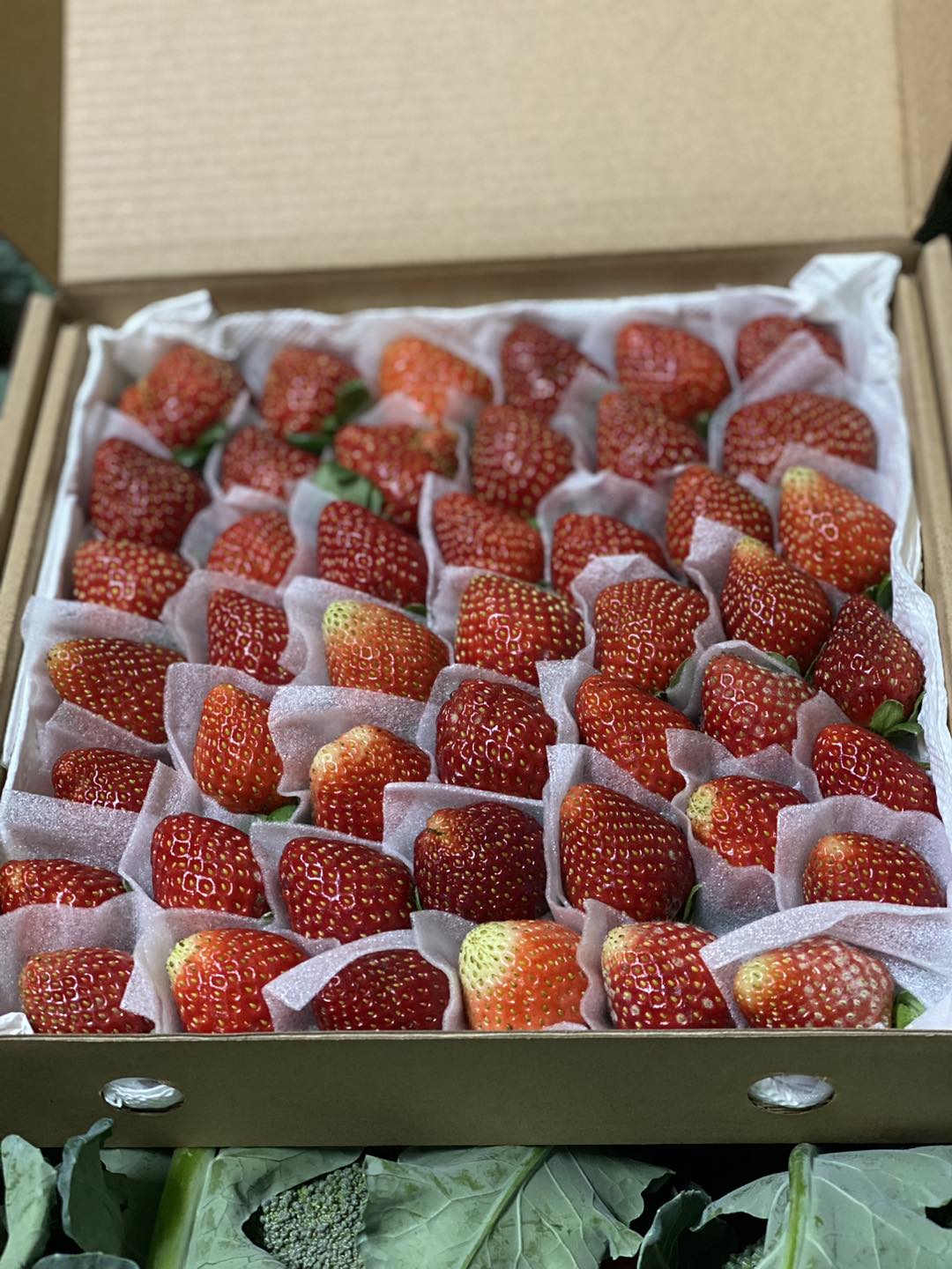 Dâu tây hộp 500gr