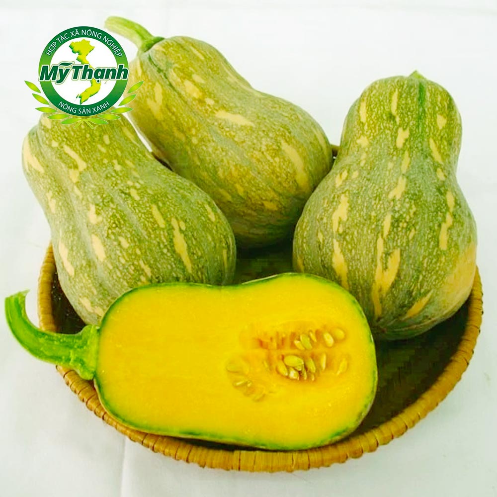 Bí hồ lô giống mỹ Song An Food 1 trái quấn 500g - 1kg