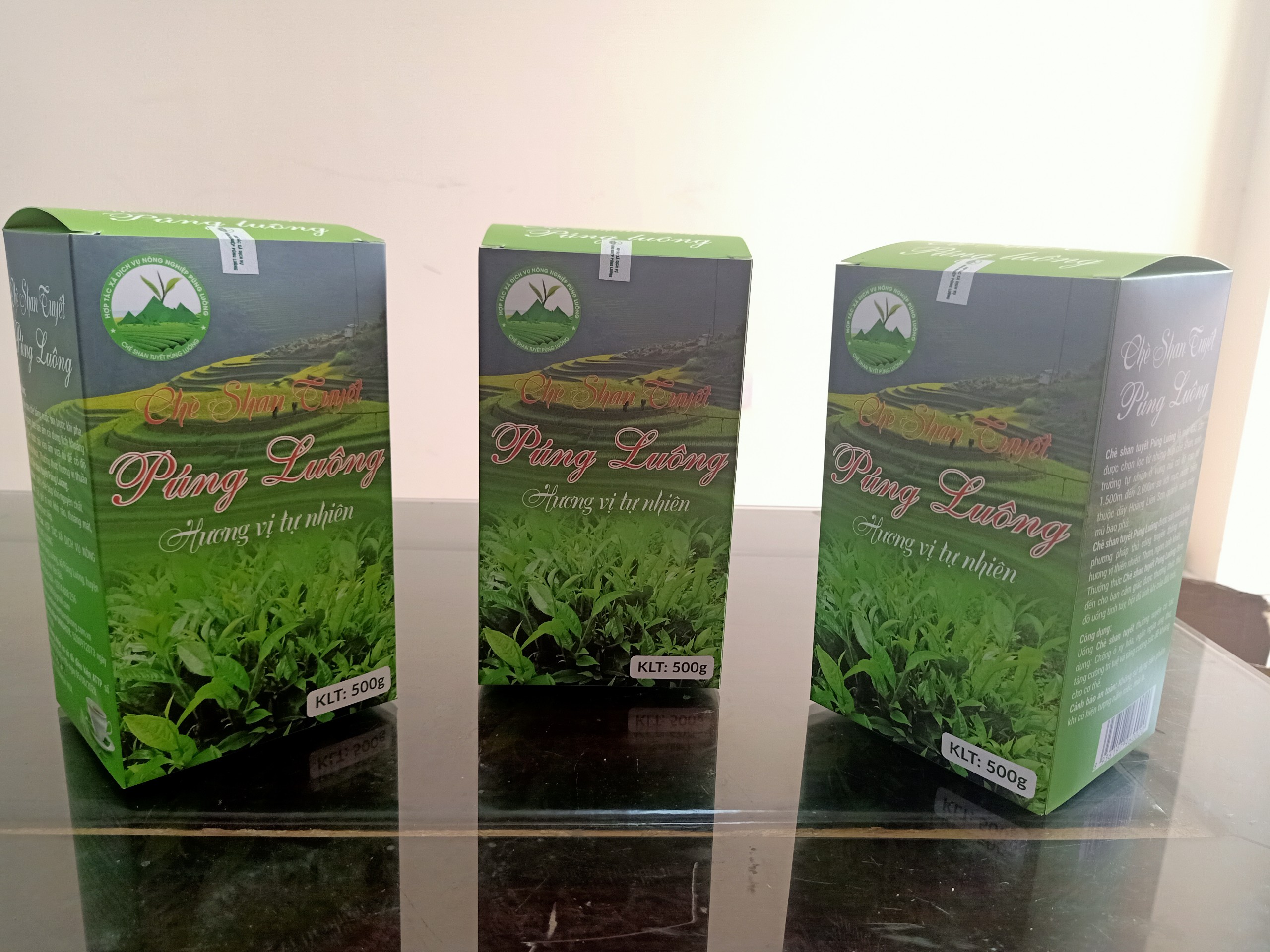 CHÈ SHAN TUYẾT PÚNG LUÔNG