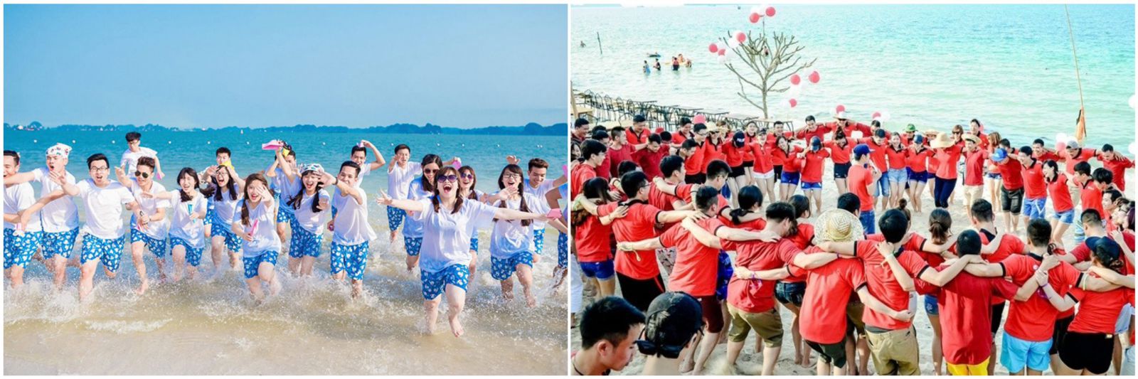 Tour Quy Nhơn - Kỳ Co - Eo Gió - Hàm Hô - Teambuilding (4N3D) - Hừng Đông Tourist