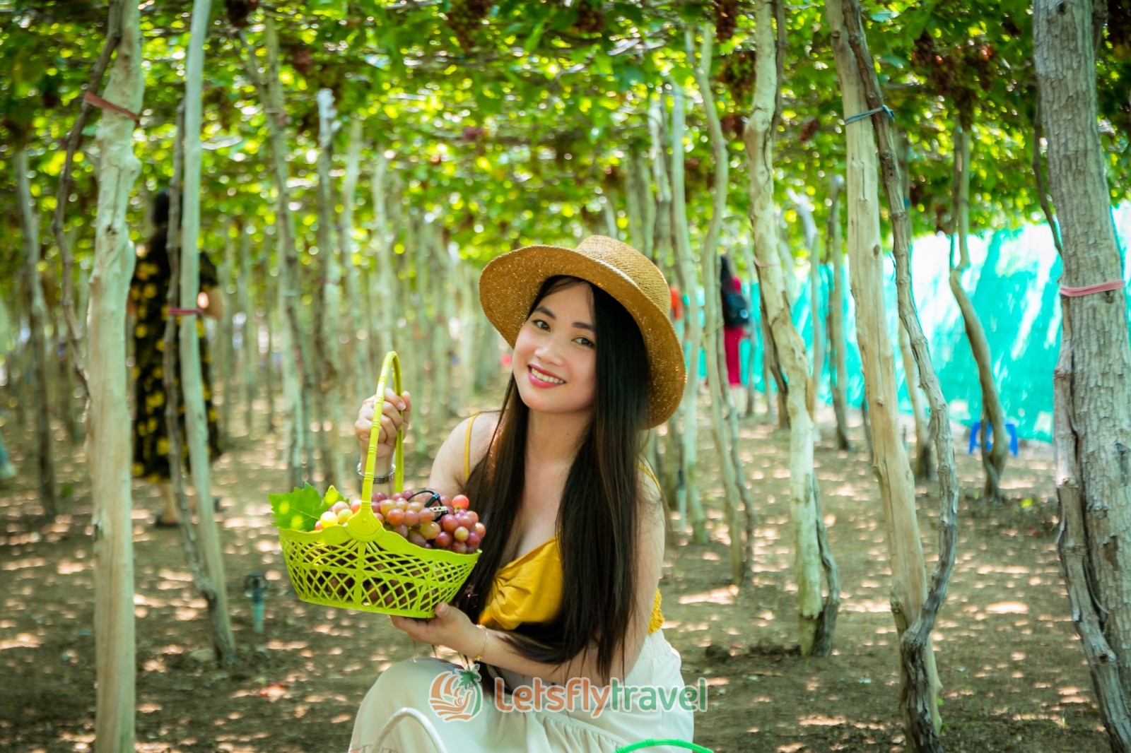 Tour Hang Rái - Vĩnh Hy - Vườn Nho - Đồng Cừu - Letsfly Travel