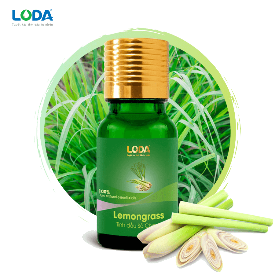 Tinh dầu Sả Chanh LODA [thiên nhiên - nguyên chất]