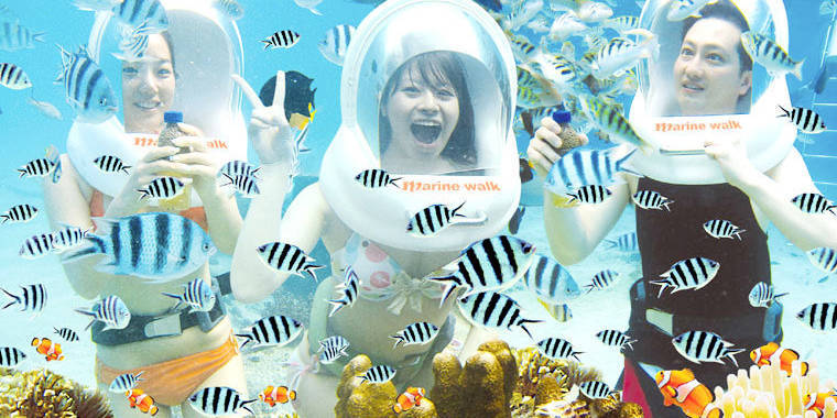 Tour Đi Bộ Dưới Đáy Biển Nha Trang - Letsfly Travel