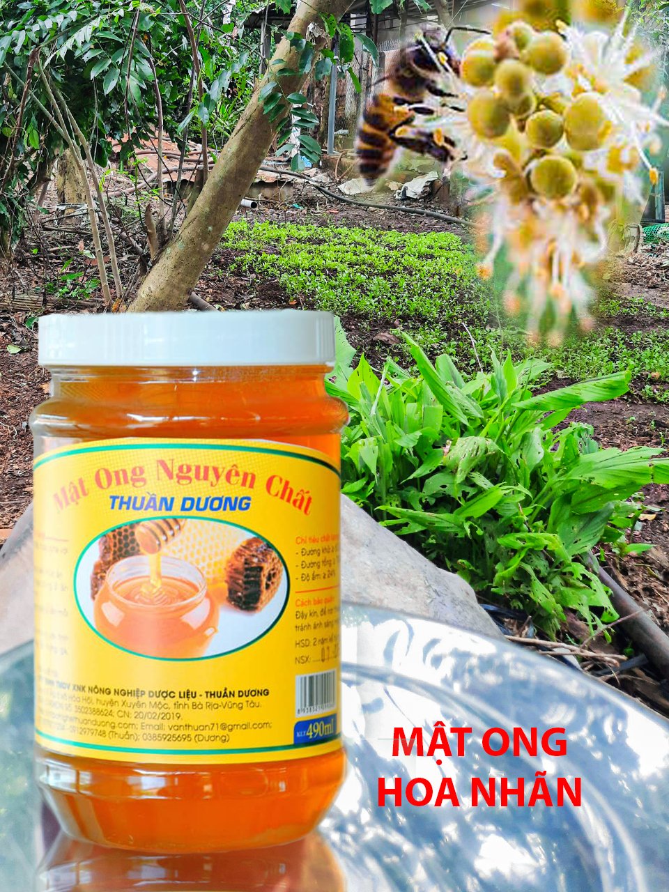 Mật ong nguyên chất Thuần Dương - Hũ 1,2kg