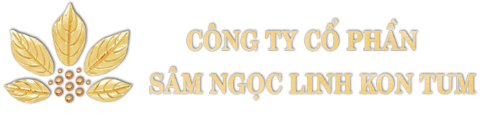 Sâm Ngọc Linh Kon Tum K5
