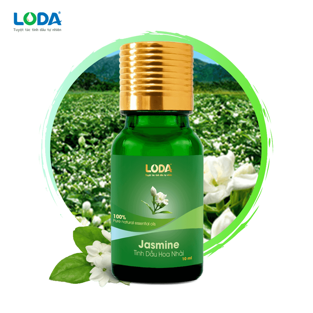 Tinh dầu Hoa Nhài LODA 10ml [thiên nhiên - nguyên chất]