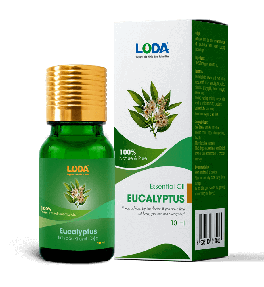 Tinh dầu Khuynh Diệp 10ml (thiên nhiên - nguyên chất)