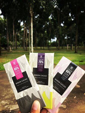 BINON FARM TO BAR CHOCOLATE